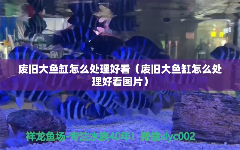 廢舊大魚缸怎么處理好看（廢舊大魚缸怎么處理好看圖片）