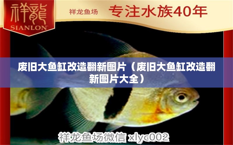 廢舊大魚缸改造翻新圖片（廢舊大魚缸改造翻新圖片大全）