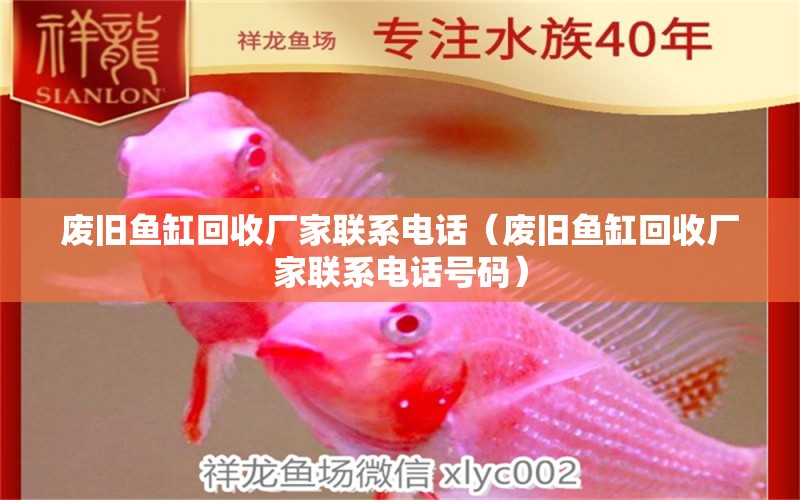 廢舊魚缸回收廠家聯(lián)系電話（廢舊魚缸回收廠家聯(lián)系電話號碼） 量子養(yǎng)魚技術(shù)