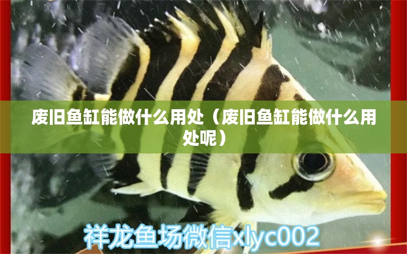 廢舊魚缸能做什么用處（廢舊魚缸能做什么用處呢）