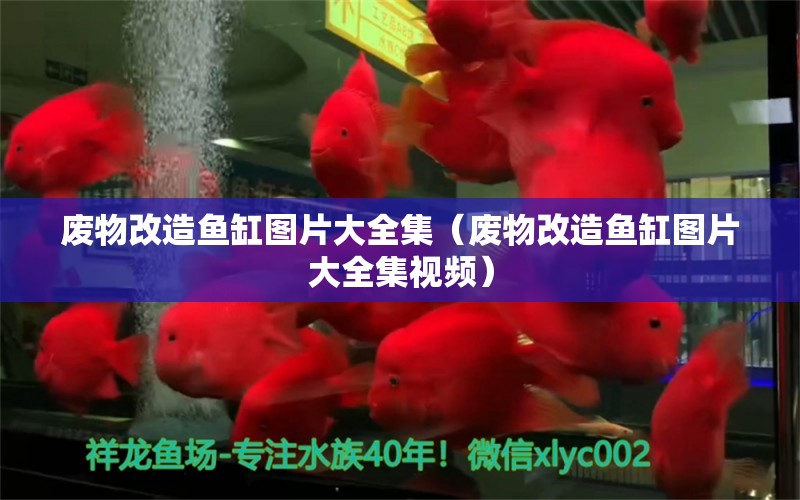 廢物改造魚缸圖片大全集（廢物改造魚缸圖片大全集視頻）