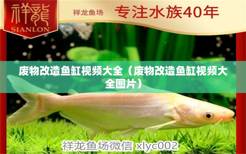 廢物改造魚缸視頻大全（廢物改造魚缸視頻大全圖片）