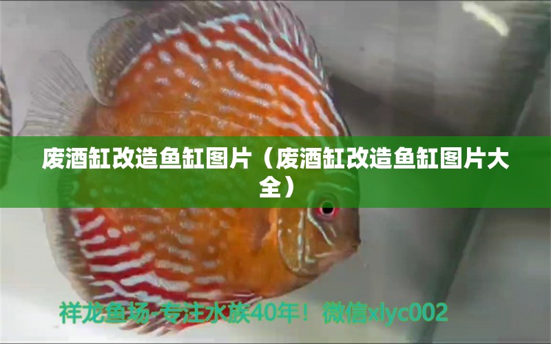 廢酒缸改造魚缸圖片（廢酒缸改造魚缸圖片大全）