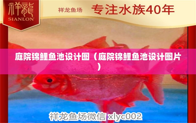 庭院錦鯉魚池設(shè)計圖（庭院錦鯉魚池設(shè)計圖片） 量子養(yǎng)魚技術(shù)