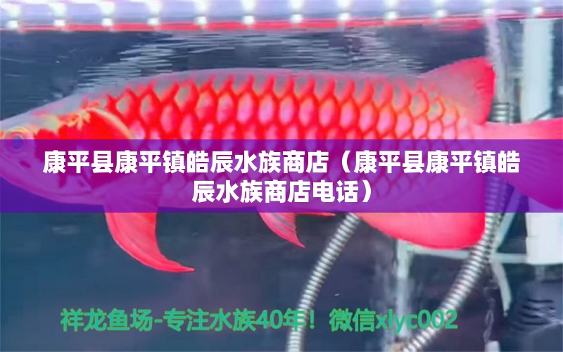 康平縣康平鎮(zhèn)皓辰水族商店（康平縣康平鎮(zhèn)皓辰水族商店電話）