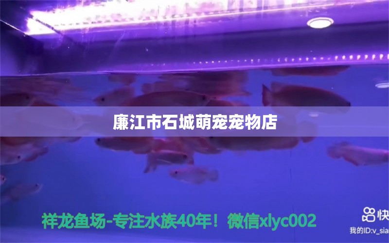 廉江市石城萌寵寵物店 全國(guó)水族館企業(yè)名錄