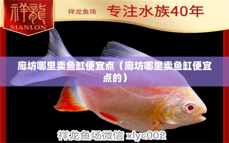 廊坊哪里賣(mài)魚(yú)缸便宜點(diǎn)（廊坊哪里賣(mài)魚(yú)缸便宜點(diǎn)的）