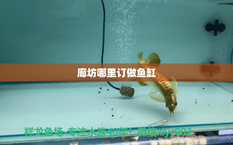 廊坊哪里訂做魚缸 其他品牌魚缸