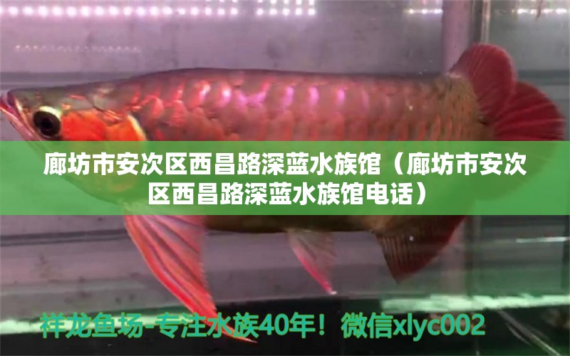 廊坊市安次區(qū)西昌路深藍(lán)水族館（廊坊市安次區(qū)西昌路深藍(lán)水族館電話）