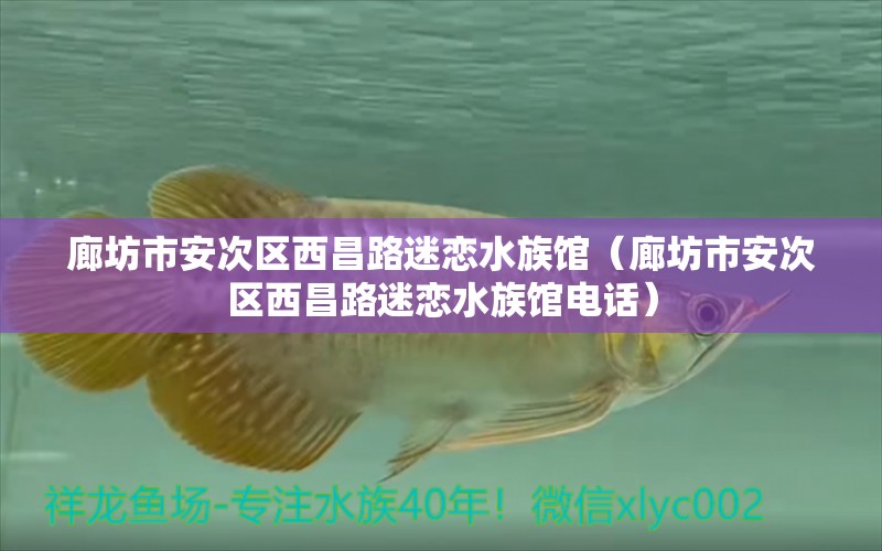 廊坊市安次區(qū)西昌路迷戀水族館（廊坊市安次區(qū)西昌路迷戀水族館電話）