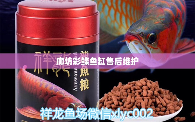 廊坊彩鰈魚缸售后維護