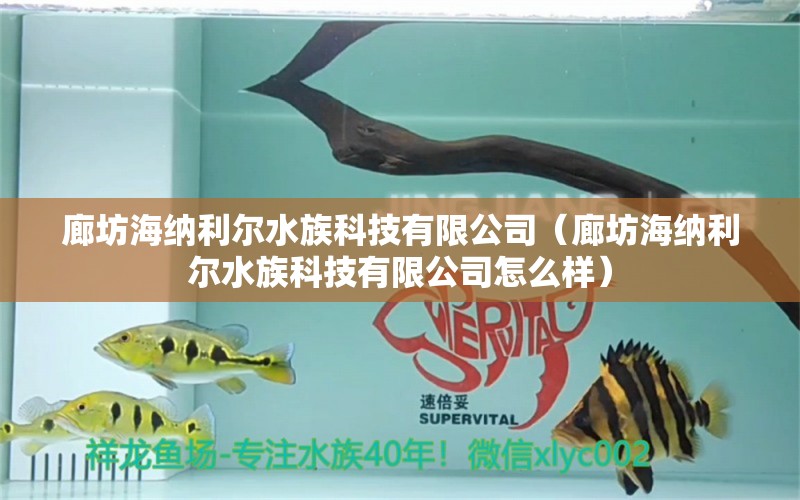 廊坊海納利爾水族科技有限公司（廊坊海納利爾水族科技有限公司怎么樣） 全國水族館企業(yè)名錄