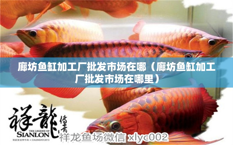 廊坊魚缸加工廠批發(fā)市場在哪（廊坊魚缸加工廠批發(fā)市場在哪里） 其他品牌魚缸