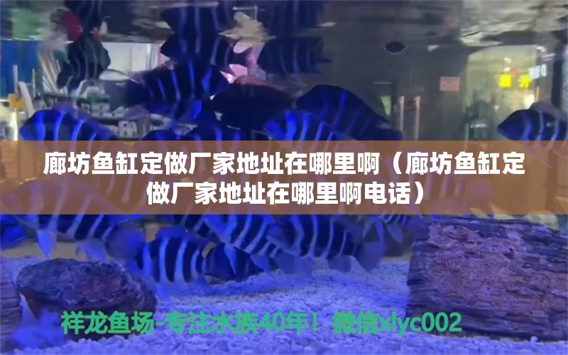 廊坊魚缸定做廠家地址在哪里啊（廊坊魚缸定做廠家地址在哪里啊電話）