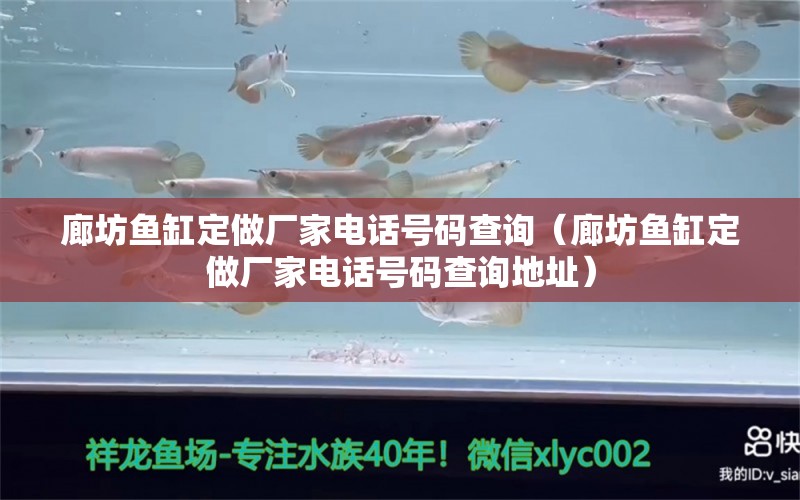 廊坊魚缸定做廠家電話號(hào)碼查詢（廊坊魚缸定做廠家電話號(hào)碼查詢地址）