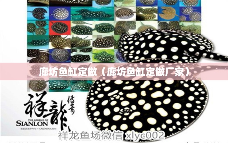 廊坊魚(yú)缸定做（廊坊魚(yú)缸定做廠家） 其他品牌魚(yú)缸