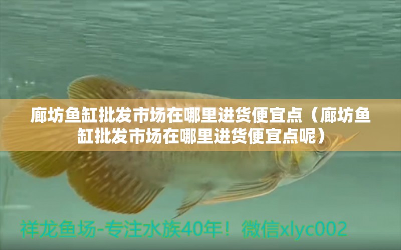 廊坊魚缸批發(fā)市場在哪里進貨便宜點（廊坊魚缸批發(fā)市場在哪里進貨便宜點呢） 祥龍水族醫(yī)院