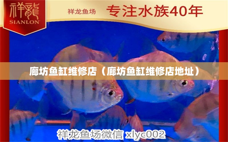 廊坊魚缸維修店（廊坊魚缸維修店地址）