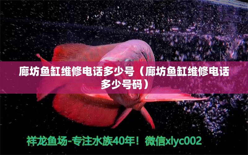 廊坊魚缸維修電話多少號（廊坊魚缸維修電話多少號碼）