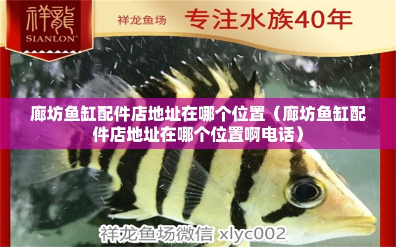 廊坊魚缸配件店地址在哪個(gè)位置（廊坊魚缸配件店地址在哪個(gè)位置啊電話）