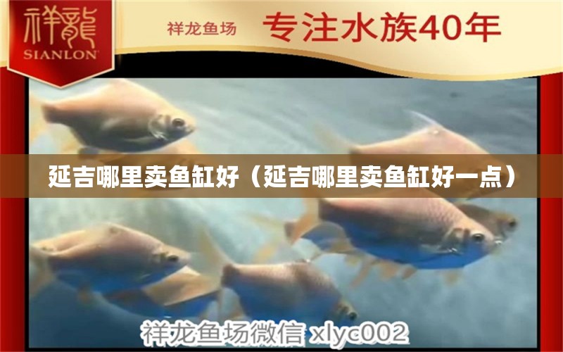 延吉哪里賣魚缸好（延吉哪里賣魚缸好一點） 其他品牌魚缸