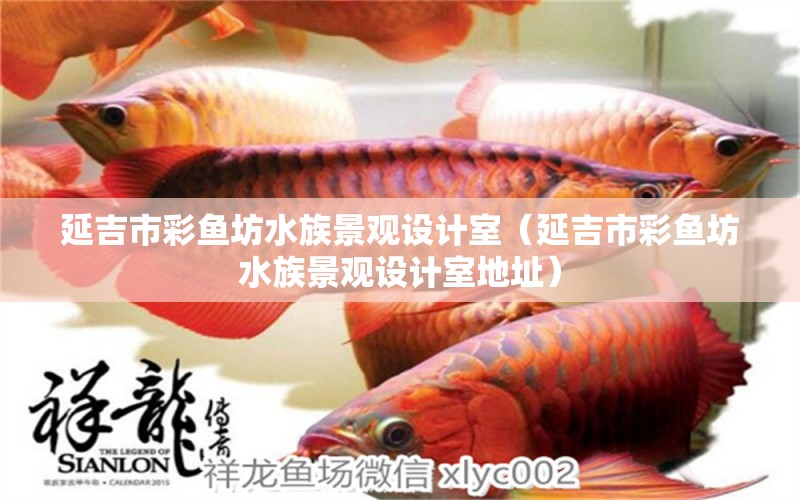 延吉市彩魚(yú)坊水族景觀設(shè)計(jì)室（延吉市彩魚(yú)坊水族景觀設(shè)計(jì)室地址）