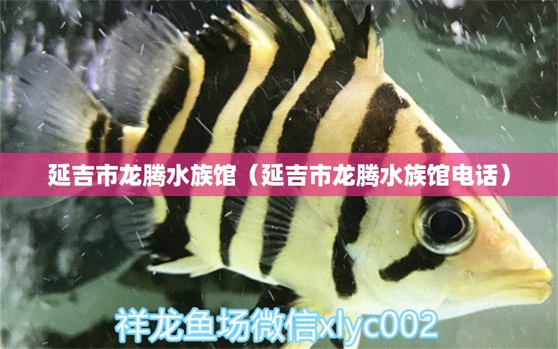 延吉市龍騰水族館（延吉市龍騰水族館電話）