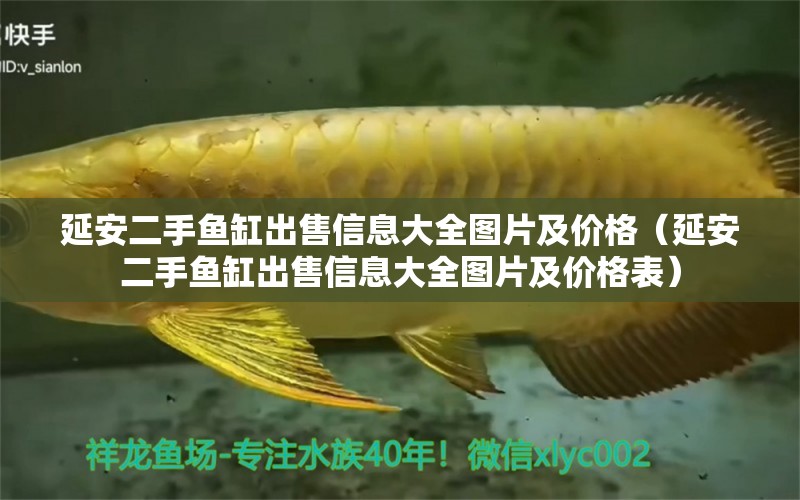 延安二手魚缸出售信息大全圖片及價(jià)格（延安二手魚缸出售信息大全圖片及價(jià)格表）