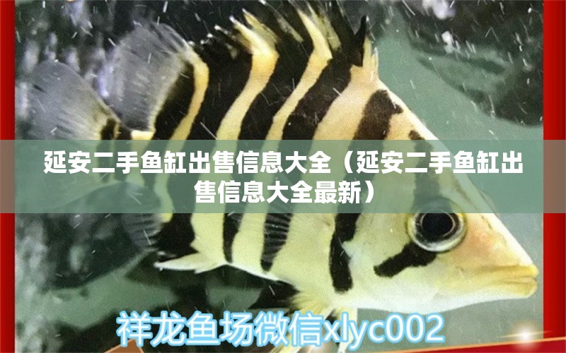 延安二手魚缸出售信息大全（延安二手魚缸出售信息大全最新）