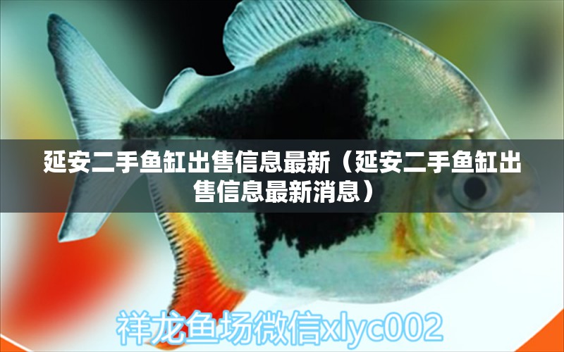 延安二手魚缸出售信息最新（延安二手魚缸出售信息最新消息） 其他品牌魚缸