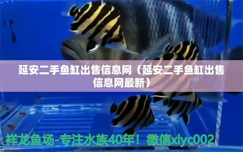 延安二手魚(yú)缸出售信息網(wǎng)（延安二手魚(yú)缸出售信息網(wǎng)最新）