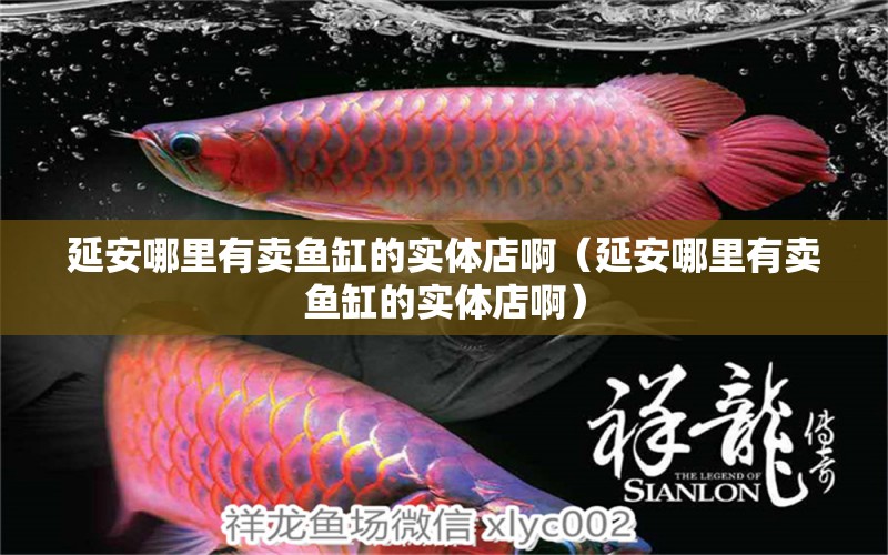 延安哪里有賣(mài)魚(yú)缸的實(shí)體店?。ㄑ影材睦镉匈u(mài)魚(yú)缸的實(shí)體店?。? title=