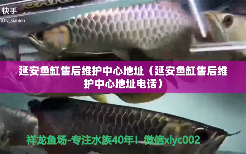 延安魚缸售后維護中心地址（延安魚缸售后維護中心地址電話）