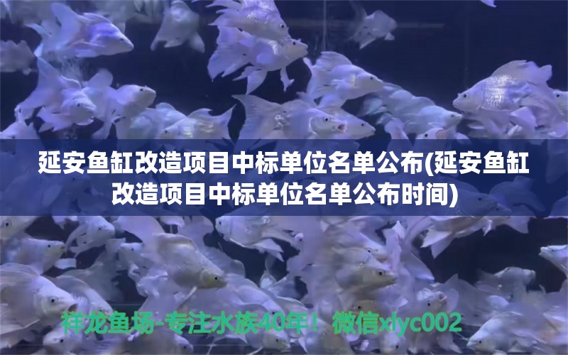 延安魚缸改造項(xiàng)目中標(biāo)單位名單公布(延安魚缸改造項(xiàng)目中標(biāo)單位名單公布時(shí)間) 大嘴鯨魚 第1張