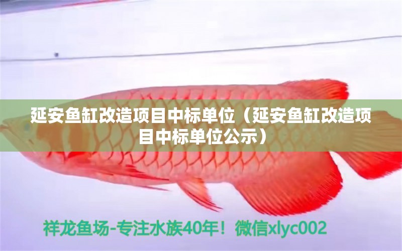 延安魚缸改造項(xiàng)目中標(biāo)單位（延安魚缸改造項(xiàng)目中標(biāo)單位公示）