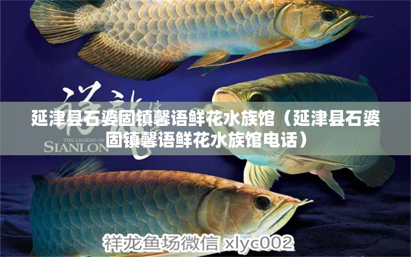 延津縣石婆固鎮(zhèn)馨語鮮花水族館（延津縣石婆固鎮(zhèn)馨語鮮花水族館電話） 全國水族館企業(yè)名錄