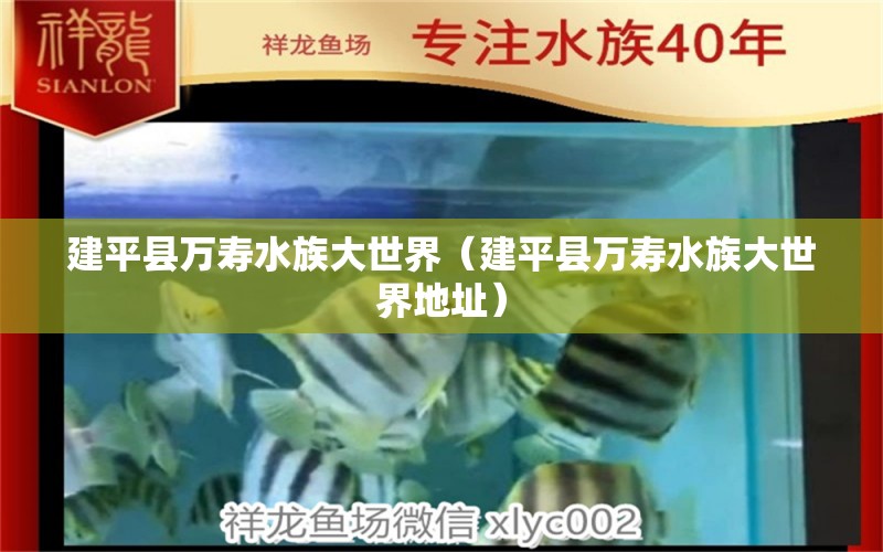 建平縣萬壽水族大世界（建平縣萬壽水族大世界地址）