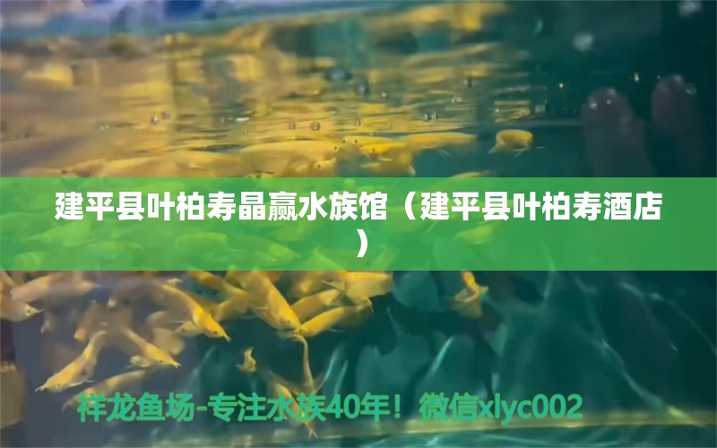 建平縣葉柏壽晶贏水族館（建平縣葉柏壽酒店）