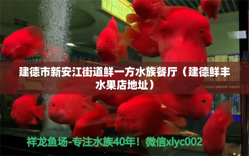 建德市新安江街道鮮一方水族餐廳（建德鮮豐水果店地址） 一方水族