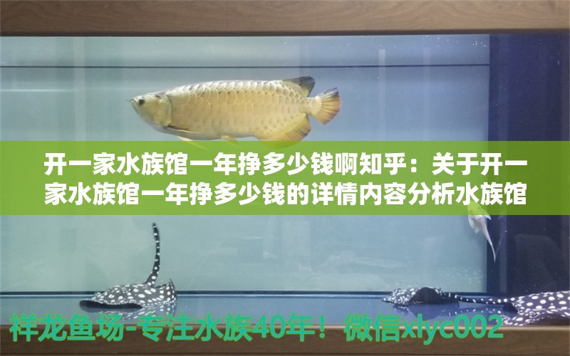 開一家水族館一年掙多少錢啊知乎：關(guān)于開一家水族館一年掙多少錢的詳情內(nèi)容分析水族館盈利情況 水族館百科（水族館加盟） 第1張