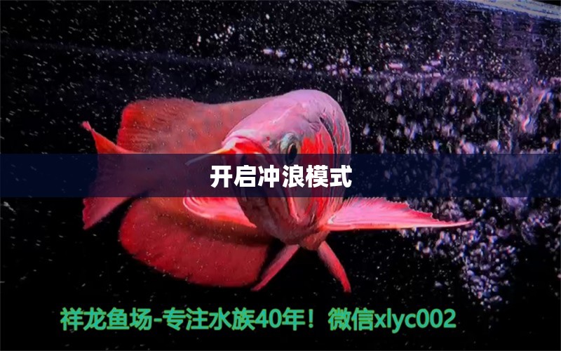 開啟沖浪模式 觀賞魚論壇 第4張