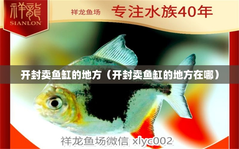 開(kāi)封賣(mài)魚(yú)缸的地方（開(kāi)封賣(mài)魚(yú)缸的地方在哪）