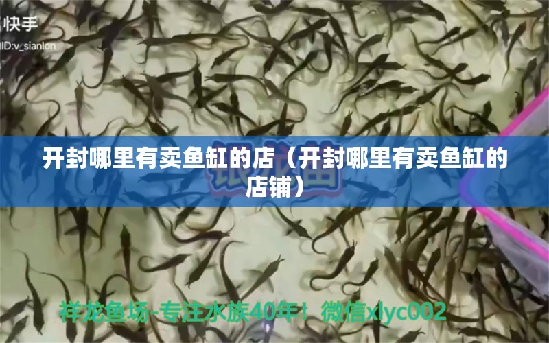 開封哪里有賣魚缸的店（開封哪里有賣魚缸的店鋪） 其他品牌魚缸