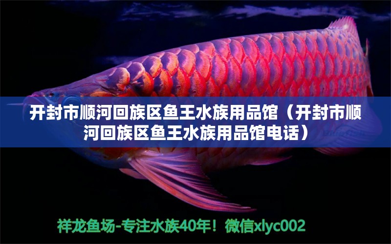 開封市順河回族區(qū)魚王水族用品館（開封市順河回族區(qū)魚王水族用品館電話） 水族用品