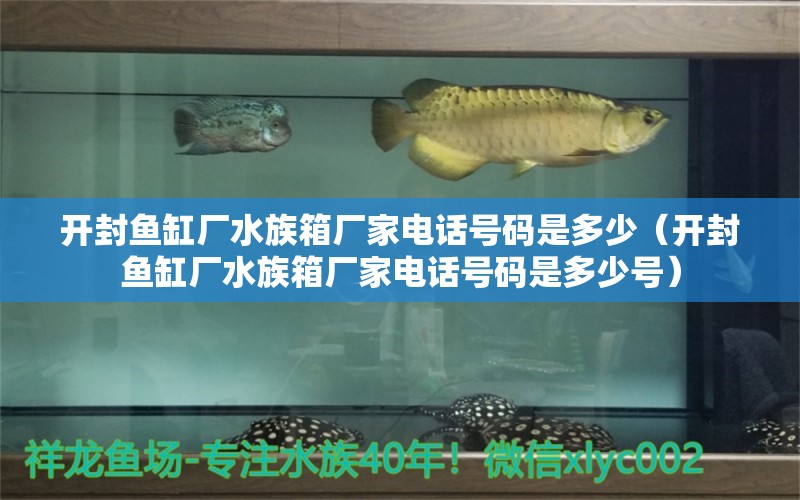 開封魚缸廠水族箱廠家電話號碼是多少（開封魚缸廠水族箱廠家電話號碼是多少號）