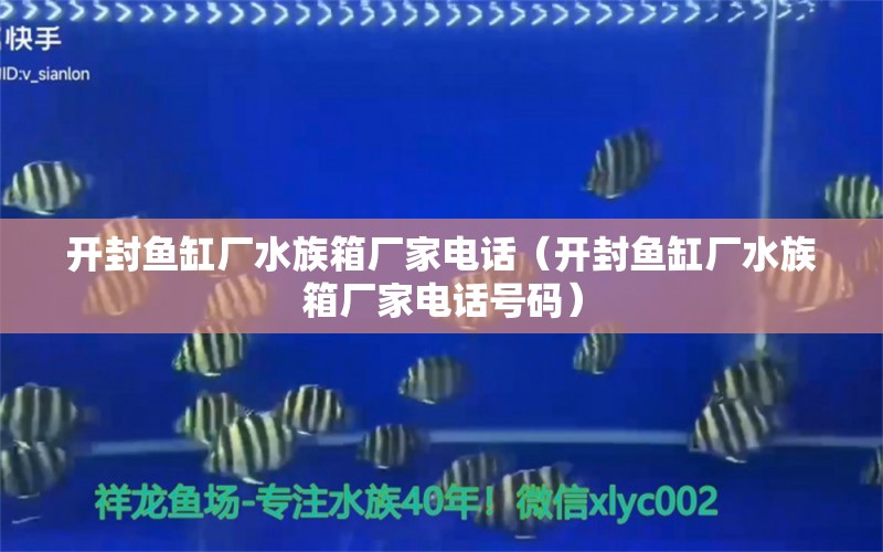 開封魚缸廠水族箱廠家電話（開封魚缸廠水族箱廠家電話號碼）