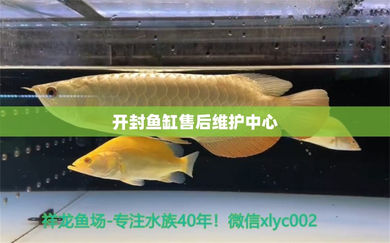 開(kāi)封魚缸售后維護(hù)中心 其他品牌魚缸