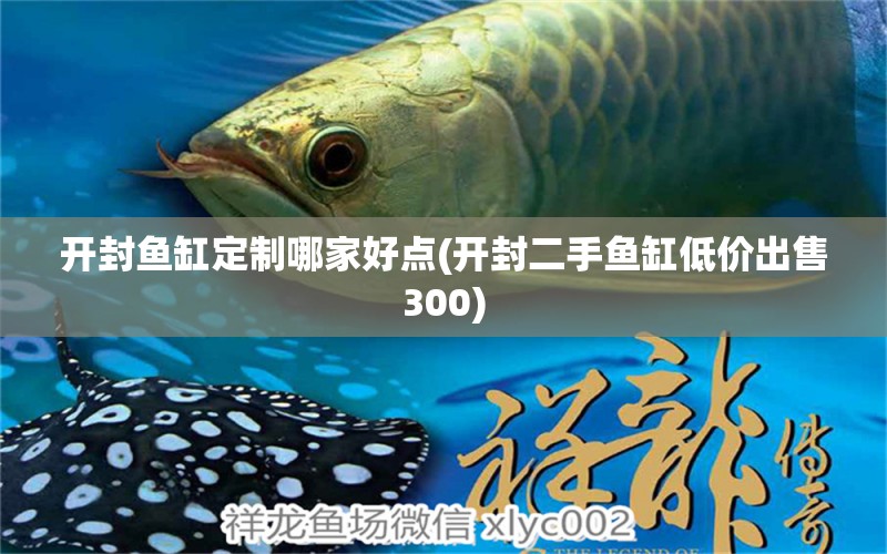 開封魚缸定制哪家好點(開封二手魚缸低價出售300) 鐵甲武士