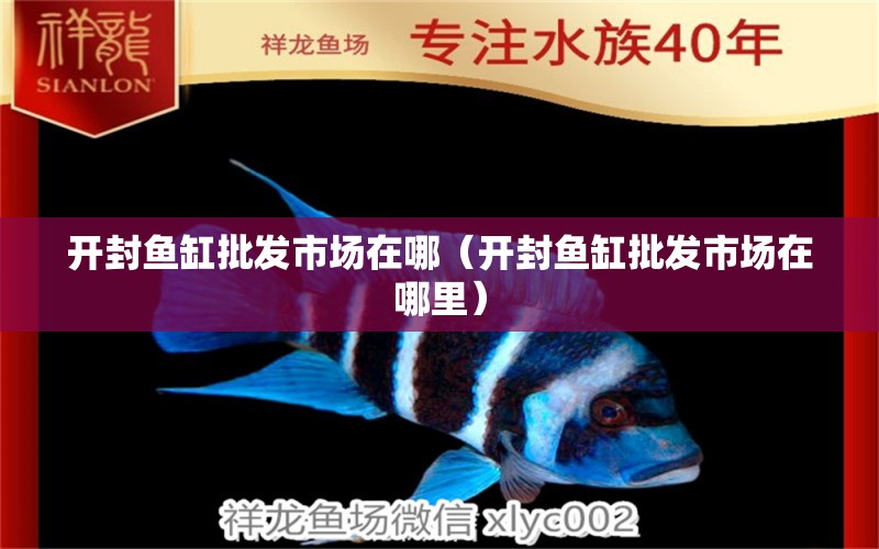 開封魚缸批發(fā)市場在哪（開封魚缸批發(fā)市場在哪里） 祥龍水族醫(yī)院