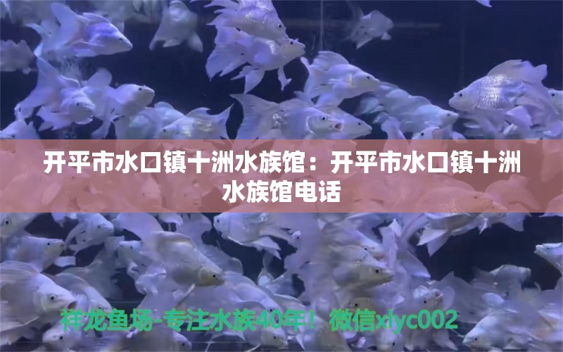 開平市水口鎮(zhèn)十洲水族館：開平市水口鎮(zhèn)十洲水族館電話